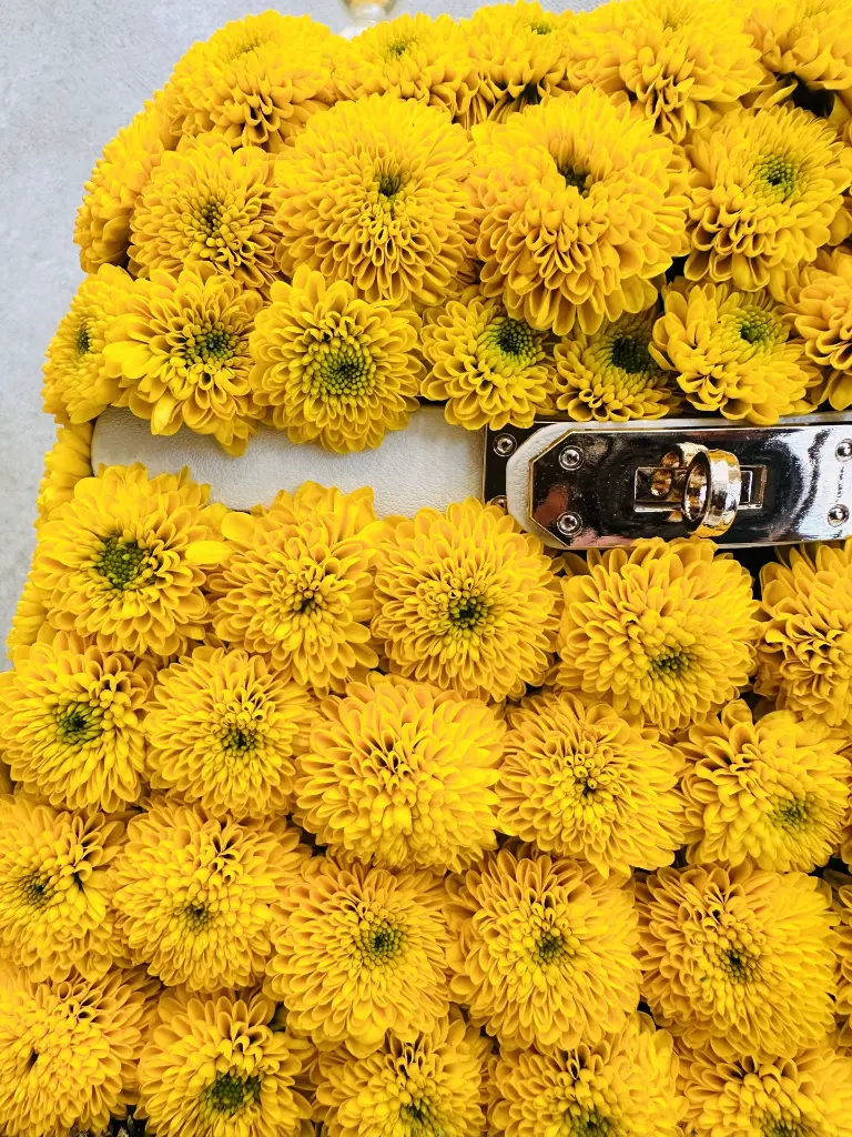 kelly bag zoom .webp