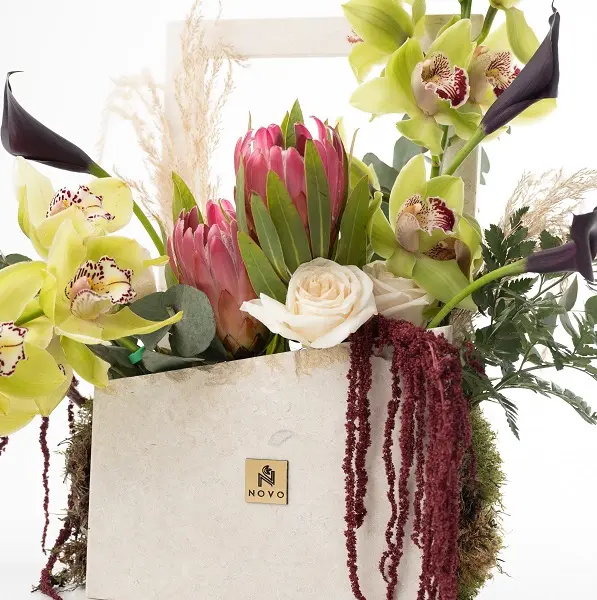 Nature's Portrait3.webp