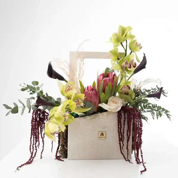 Nature's Portrait4.webp