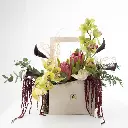 Nature's Portrait4.webp