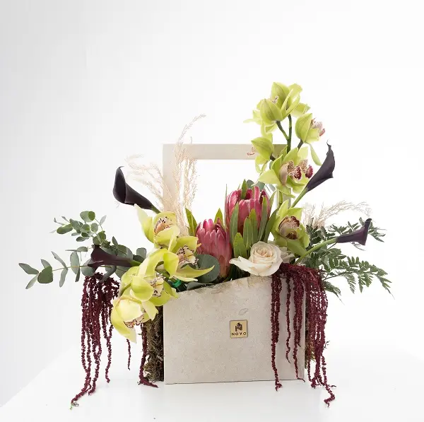 Verde Portrait5.webp