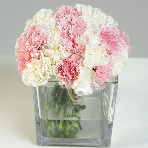 Marshmallow Cube 1.webp