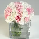 Marshmallow Cube 1.webp