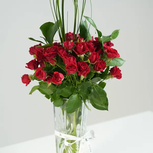 Scarlet Breeze 2.webp