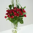 Scarlet Breeze 2.webp