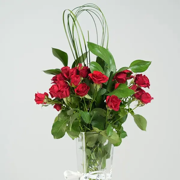 Scarlet Breeze 3.webp