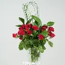 Scarlet Breeze 3.webp