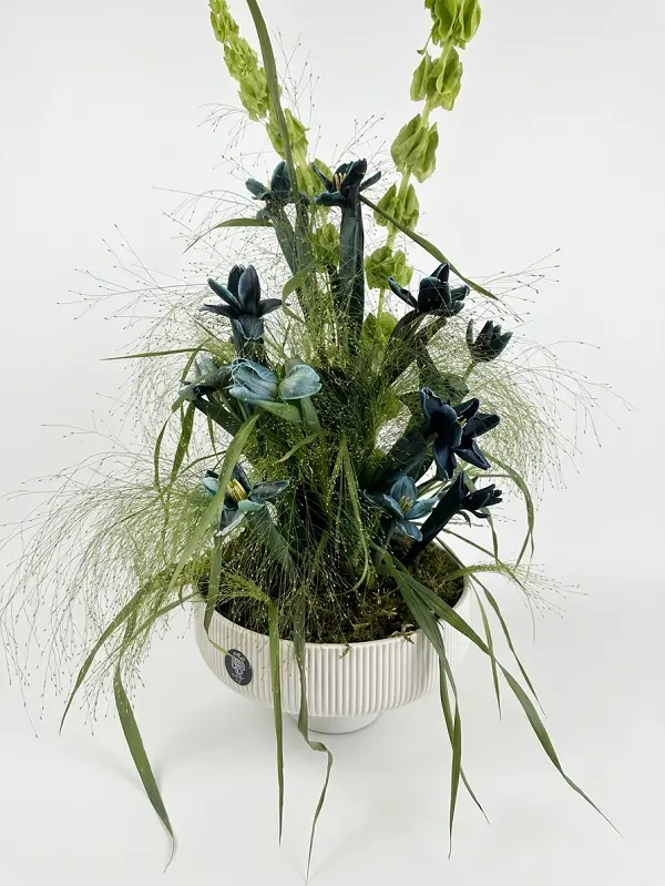 Blue Forest 2.600.webp