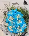 blue rhapsody 2.webp