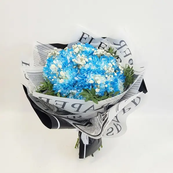 blue rhapsody 3.webp