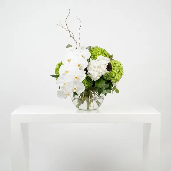 Pure Elegance5.600.webp