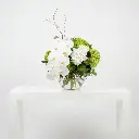 Pure Elegance5.600.webp