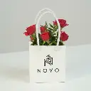 NOVO Token Red 4 - Edited.webp