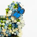 baby crib blue4.600.webp