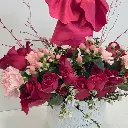 lady in red (2).webp