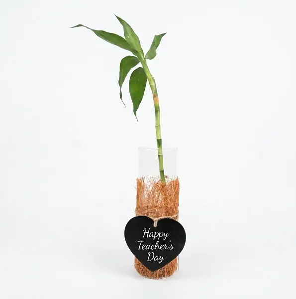 Lucky Bamboo Gesture