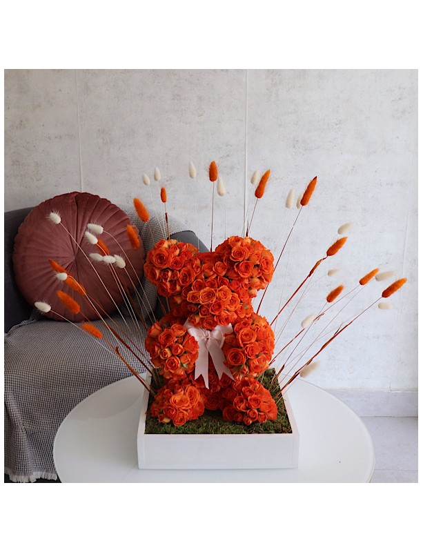 Orange Teddy