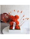 Orange Teddy Choco