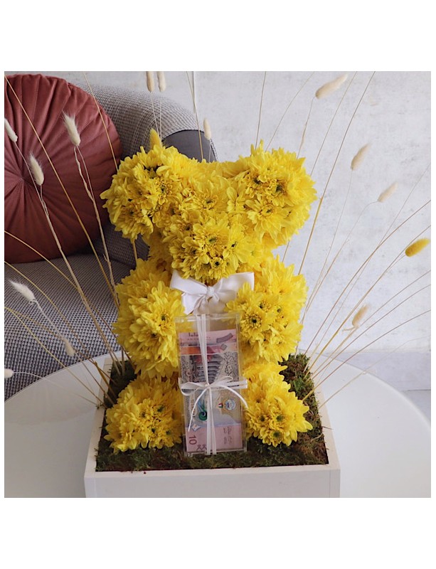 Y Teddy Gift