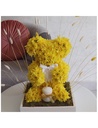 Y Teddy Candle