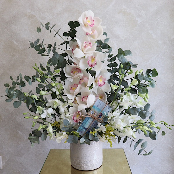 Haven Gift
