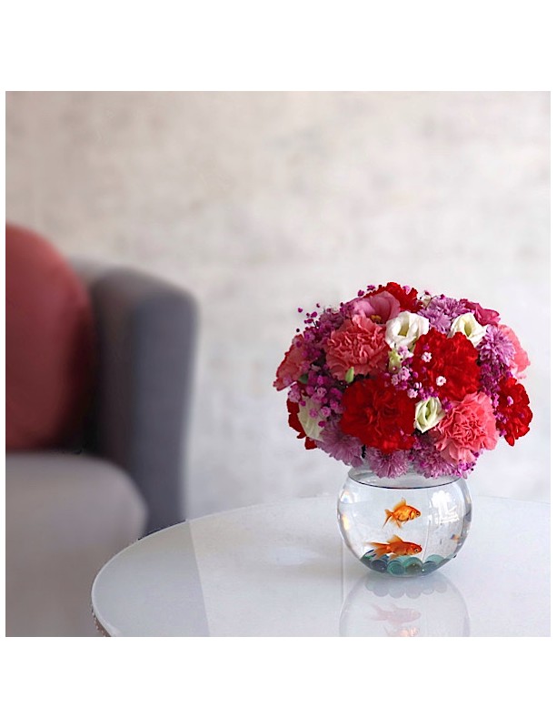 Carnations Marine