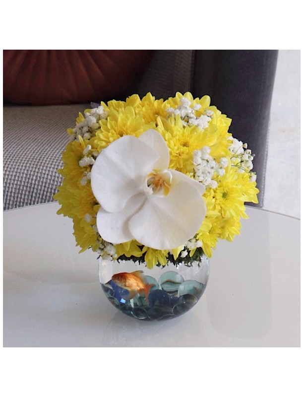 Mini chrys flores