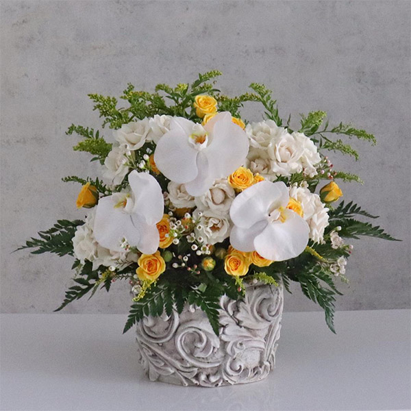 Ravish Yellow