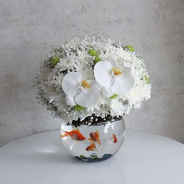 White Chrys Marine