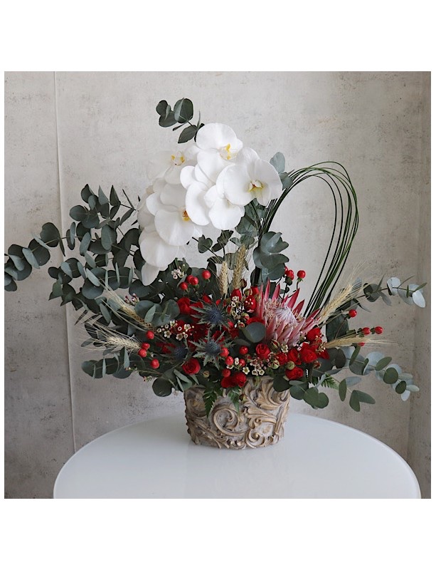 Elegant Protea