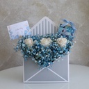 Blue Wish Gift