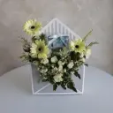 White Galore