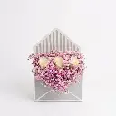 Pinkish Gift