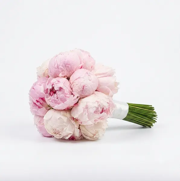 Soft Reveire