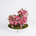 Baby Crib Pink