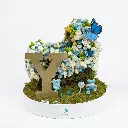 Baby  Crib Blue