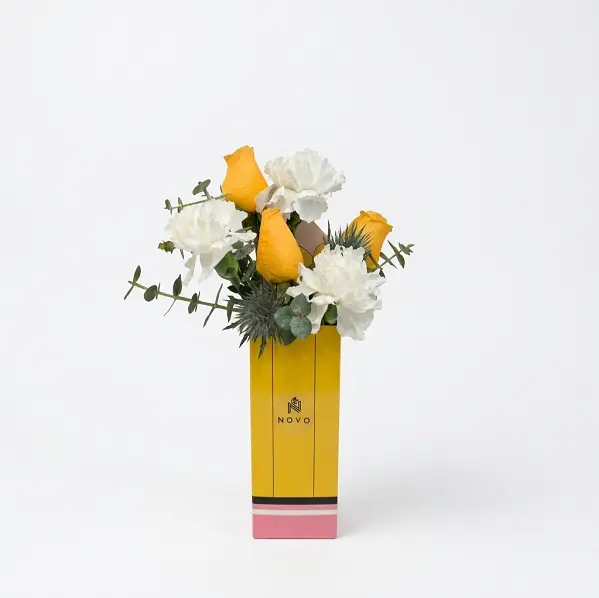 The Mentor Box