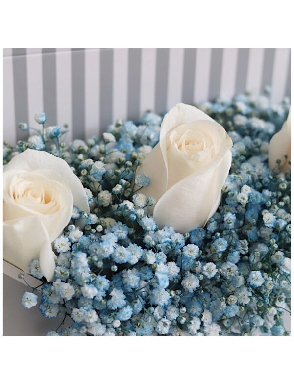 Envelope box containing gypsophelia and white roses for sale online by novo