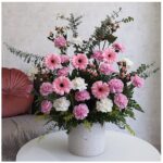 Daisy dreams fresh pink flowers for sale novo