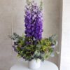 delphinium fresh flowers for delivery